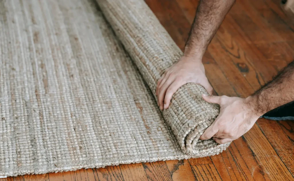 carpet cleaning